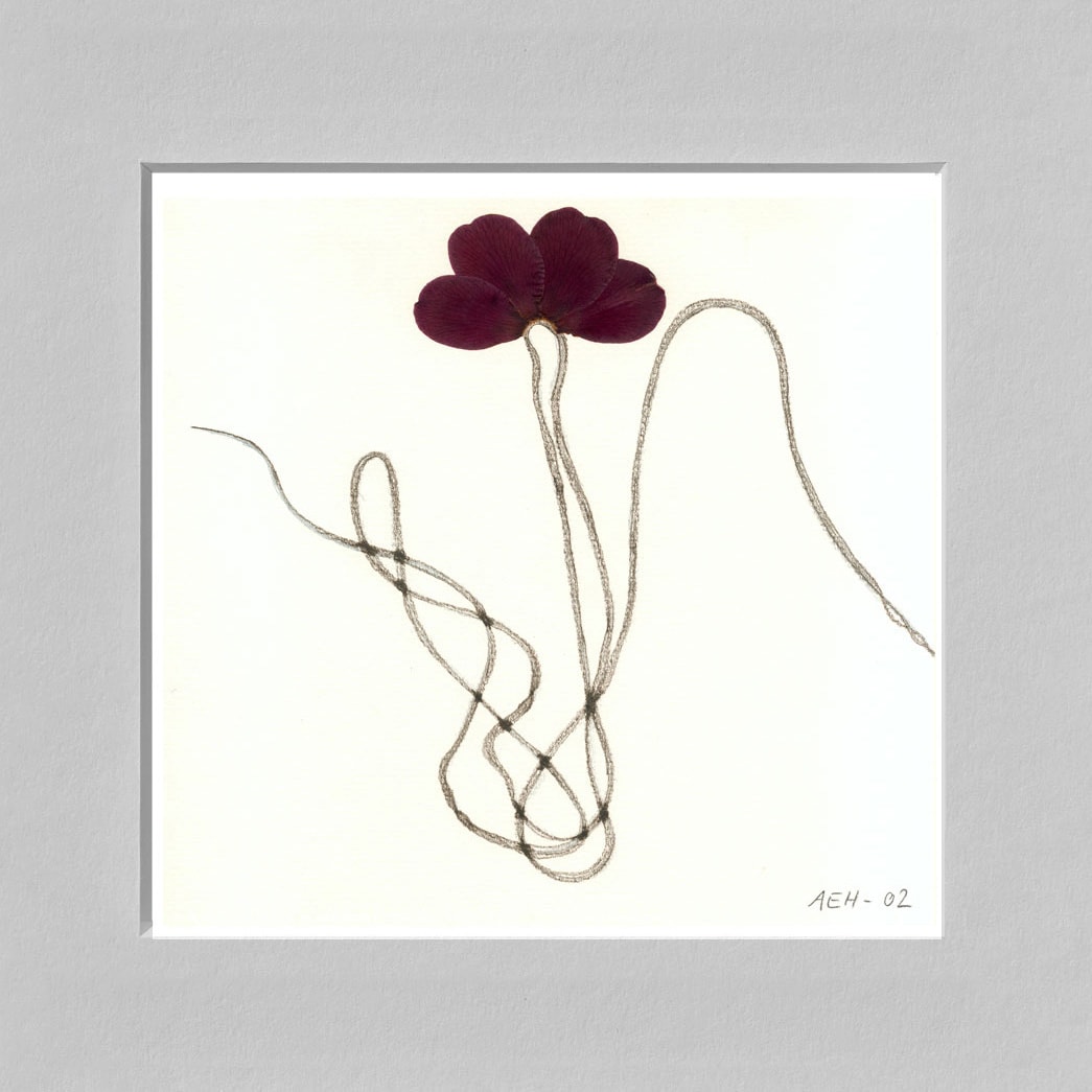 Blumenwege